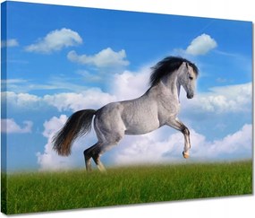 Vászonkép 40x30 Ló áll tölgy Ló