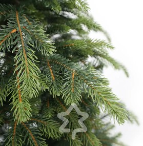 Natura lucfenyő 3D 210 cm