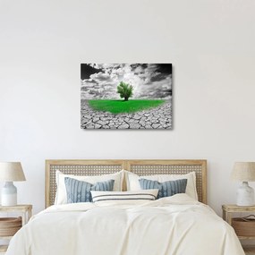 Kép - egy darab természet a városban (70x50 cm)