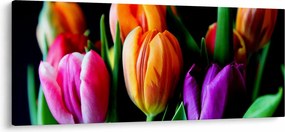 Tulipánok képe fekete alapon (120x50 cm)