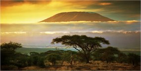 Fotó üvegfestmény Kilimandzsáró Kenya 140x70