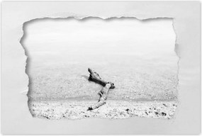 Poszterek 120x80 Gyökér tengerpart Gyökér víz