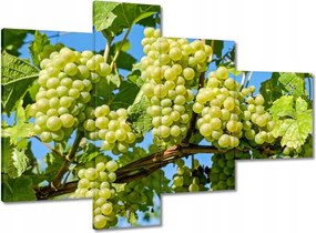 Vászonkép 100x70 Zöld szőlő