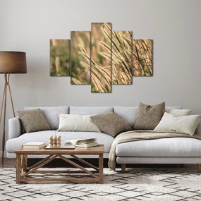 Kép - Gabona (150x105 cm)
