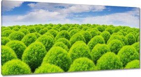 Vászonkép 115x55 Zöld tekintet Völgy