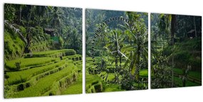 Kép a rizs teraszokról, Tegalalang, Bal (órával) (90x30 cm)