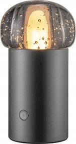 Blomus Iris Hordozható Led Antracit lámpa