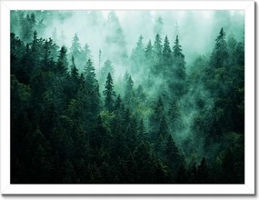 Poszter fehér keretben 40x30 Erdő Köd Tájkép Utazás