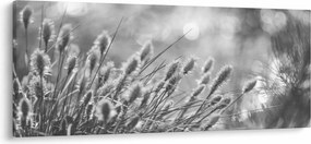 Kép - Bézs színű puha fű N⁰1 (120x50 cm)