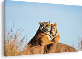 Kép - Tigris és a kölyke (90x60 cm)