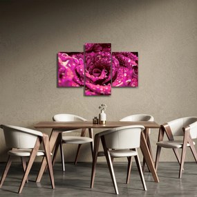 Rózsaszín rózsa virágzata képe (90x60 cm)