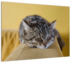 Macska a kanapén képe (70x50 cm)