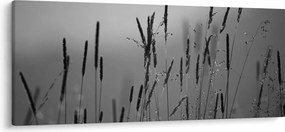 Kép - Fűszálak (120x50 cm)