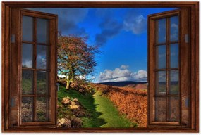 Poszterek 60x40 Fa a kilátásban