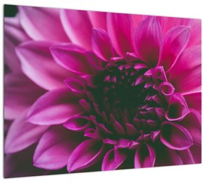 Rózsaszín virág képe (üvegen) (70x50 cm)