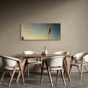 A fű képe (120x50 cm)