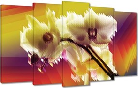 Vászonkép 100x60 Orchidea Gyönyörű virágok