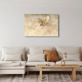 Kép - Bagoly (90x60 cm)
