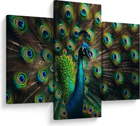 Kép – Pávatoll (90x60 cm)