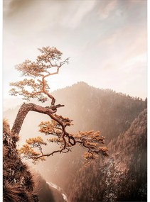 Üveg kép 50x70 cm Brown Tree – Styler