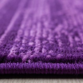 Sötétlila futószőnyeg 80x300 cm Plus – Ayyildiz Carpets