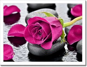 Poszterek keretben 40x30 Rózsaszín rózsa köveken