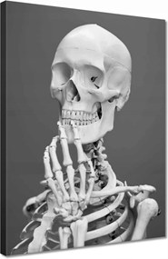 Vászonkép 30x40 Csontváz