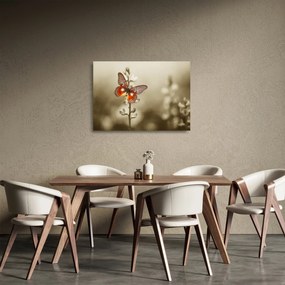 Pillangó képe (üvegen) (70x50 cm)
