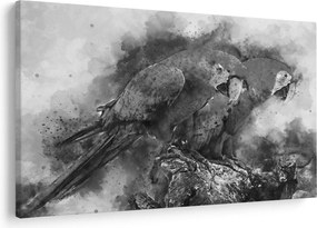 Kép - Akvarell papagájok (90x60 cm)