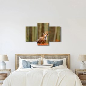 Kép - Róka (90x60 cm)