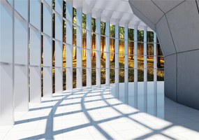 Fotótapéta Erdő Ablak Minimalizmus Skandináv stílus 250x175 loft +ragasztó