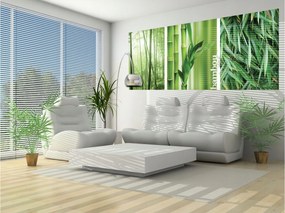 Fotótapéta Bambusz erdő Zöld 250x104 A természet frissessége otthonra +ragasztó