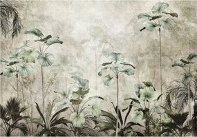 Fotótapéta Trópusi Paradicsom Pálmalevél Licuala Grandis 200x140 +ragasztó