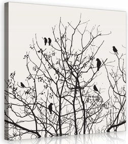 Vászonkép 40x40 Fekete-fehér fák madarak tél minimalizmus grafika természet csend