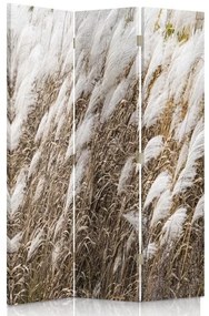 Gario Paraván Pampas grass Méret: 110 x 170 cm, Kivitelezés: Klasszikus paraván