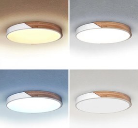 Brilagi - LED dimmelhető lámpatest PILANA LED/60W/230V tölgy/fehér átm. 60 cm + távirányító