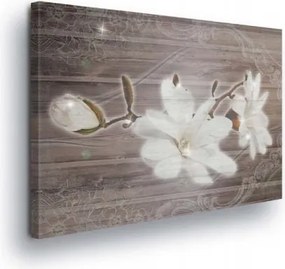 Vászonkép 100x75 Magnólia virág fánk botanika természet finom nyugalom