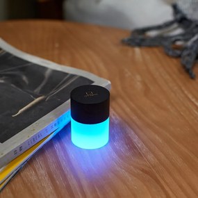 Fekete LED dimmelhető asztali lámpa üveg búrával (magasság 6 cm) Lemelia – Gingko