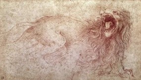 Reprodukció Sketch of a roaring lion, Leonardo da Vinci