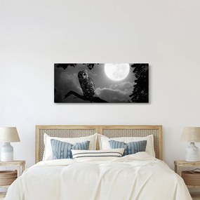 Kép - Éjjeli bagoly, fekete-fehér (120x50 cm)