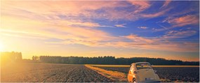 Egy sárga autó képe a mezőn (120x50 cm)
