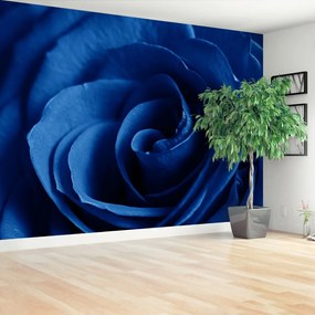 Fotótapéta Kék rózsa 104x70 cm