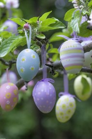 Poszter 30x45cm Húsvéti tojások lógnak az ágakon 3, Assaf Frank