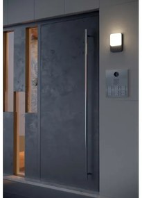 Redo 90129 - LED Kültéri fali lámpa COLIN 1xLED/9W/230V IP54