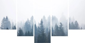 Kép - Ködös erdő (150x105 cm)