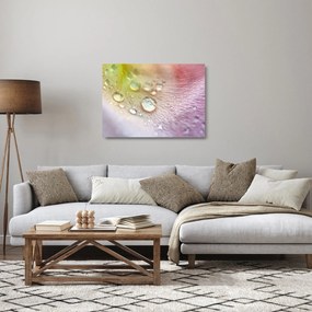 Üveg kép - Harmatcseppek (70x50 cm)