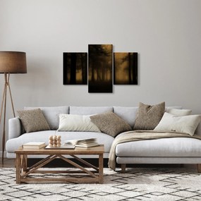 Kép - Sötét erdő (90x60 cm)