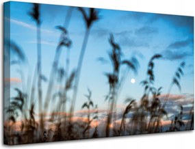 Vászonkép Természet Mező Rét Napfelkelte 80x50