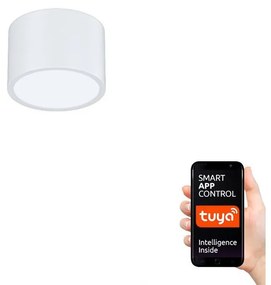 Immax NEO 07024L-15 - LED dimmelhető mennyezeti lámpa RONDATE LED/12W/230V Tuya