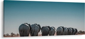 Kép - Elefántok indulása (120x50 cm)